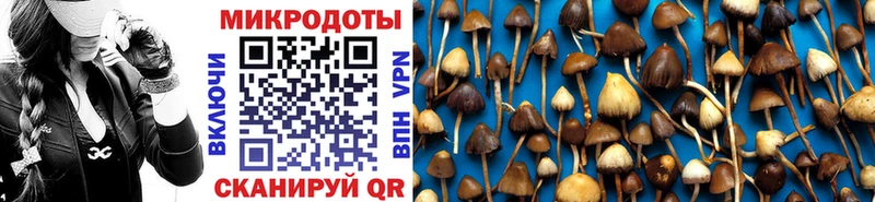 Галлюциногенные грибы ЛСД Брянск