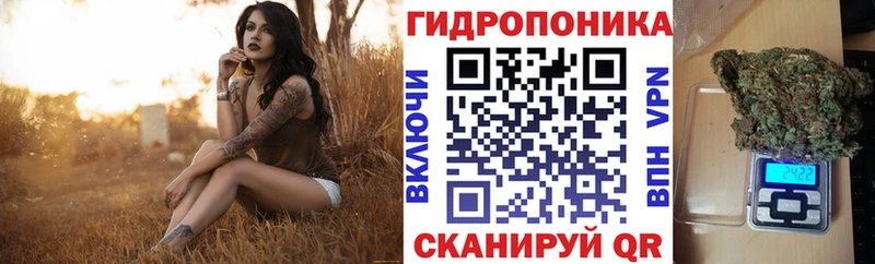 blacksprut рабочий сайт  Брянск  Шишки марихуана Ganja 
